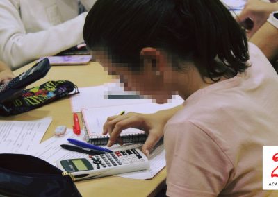 ApoyoSecundariaYBachiller (6)